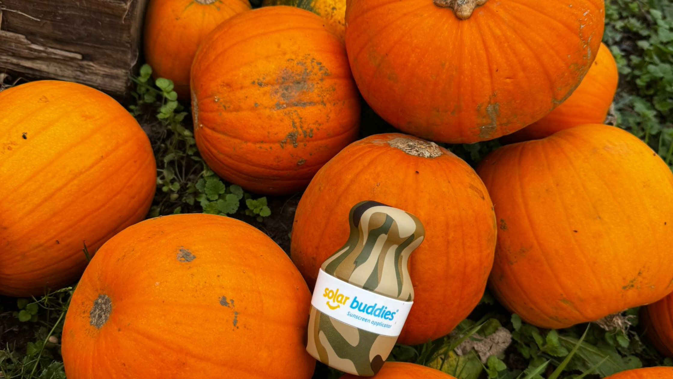 Solar Buddie Sunscreen applicator on pumpkins